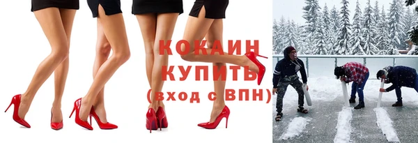 mix Богородицк