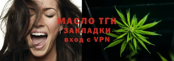 mix Богородицк