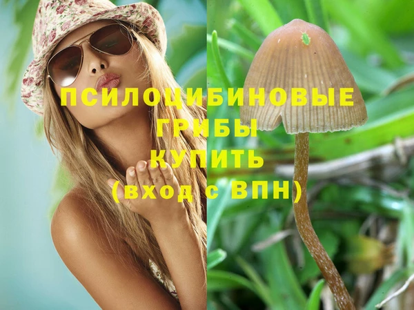 mix Богородицк