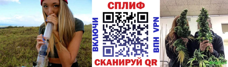 Канабис ГИДРОПОН  Купить закладки  Гатчина 